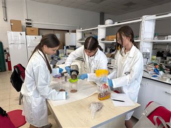 Best Wishes for Our Young Researchers, December 2025, PNCALab